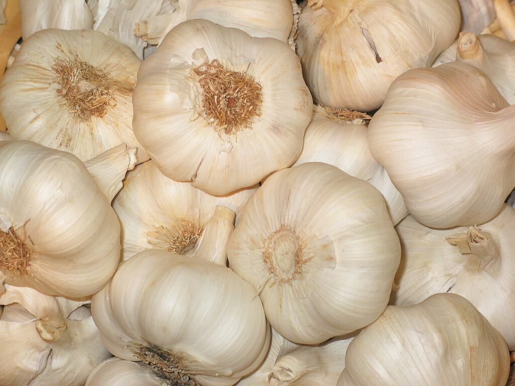 garlic, vegetables, food-968372.jpg